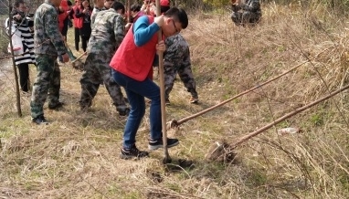 3.12植樹節(jié)，立信建設(shè)積極參加植樹綠化活動